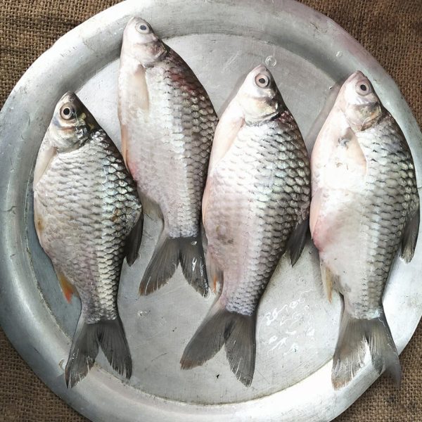 সরপুঁটি